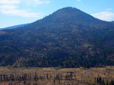 [The mound of the mountain nearly reaches the top of the photos while the sides extend through the middle third of the image. The valley in the foreground is mostly clear land while the mountain is full of tree trunks.]